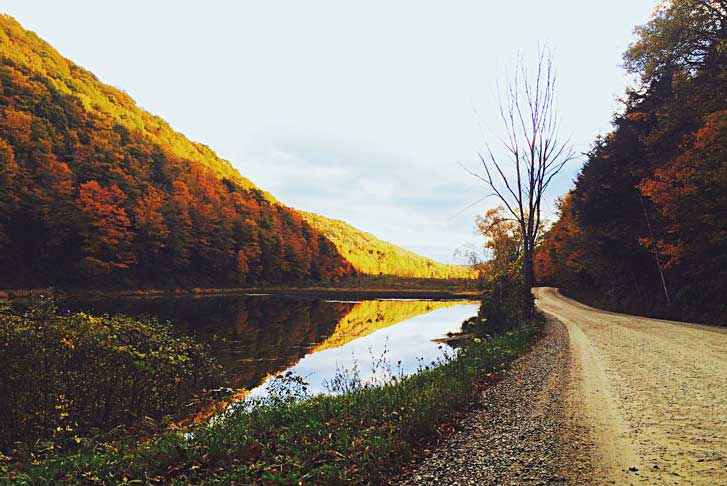 fall landscape with a gravel road along a river