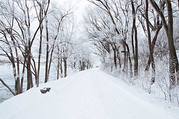 road covered in snow during winter